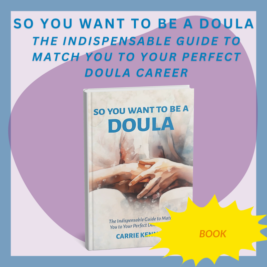 So You Want to Be a Doula (paperback)