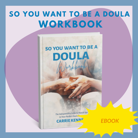 So You Want to Be a Doula Workbook