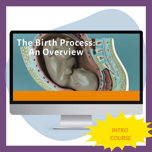 The Birth Process: An Overview