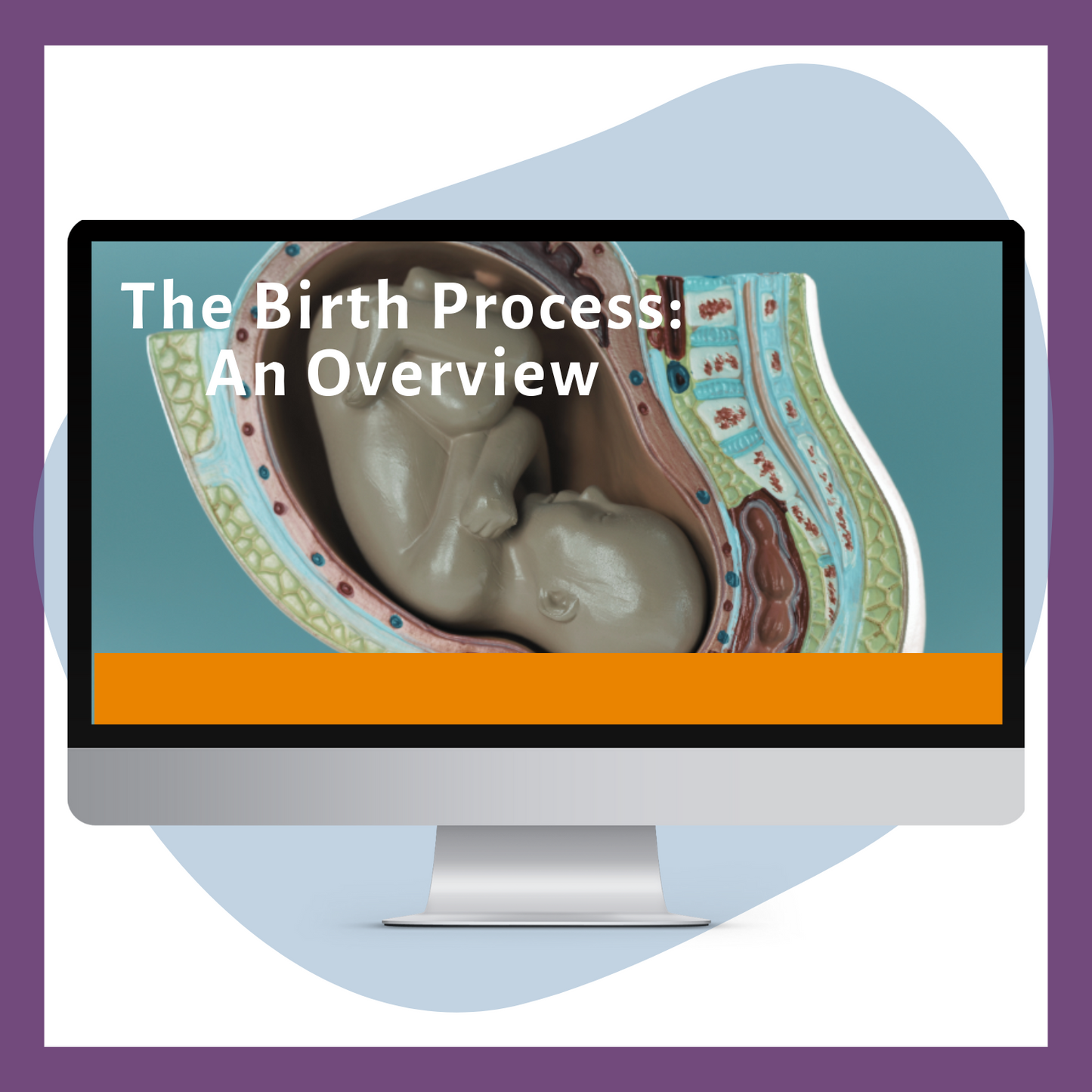 The Birth Process: An Overview