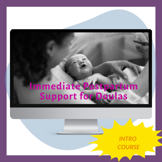 Immediate Postpartum Support for Doulas